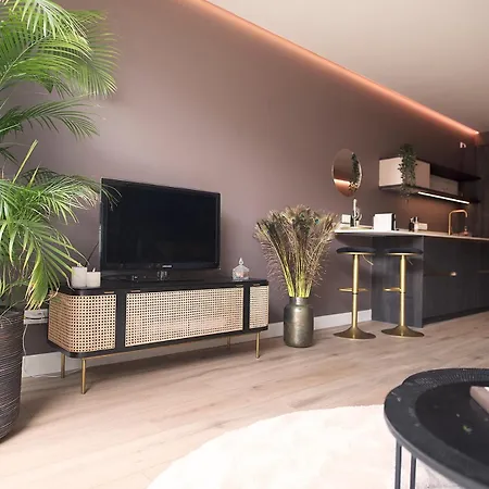 Appartement Suite-elegance Privé Sauna&jacuzzi La Haye