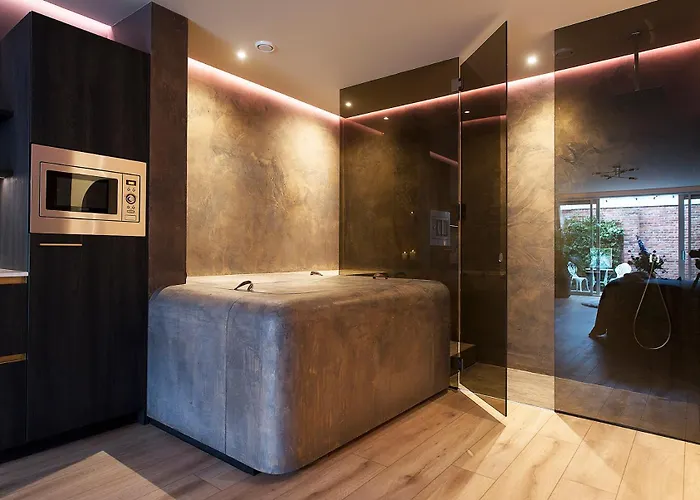 Appartement Suite-elegance Privé Sauna&jacuzzi La Haye