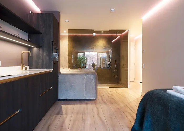 Suite-elegance Privé Sauna&jacuzzi La Haye