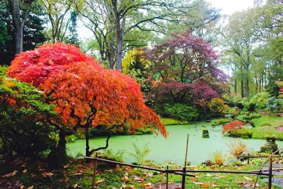 Apartamento Suite-elegance Prive Sauna & Jacuzzi *